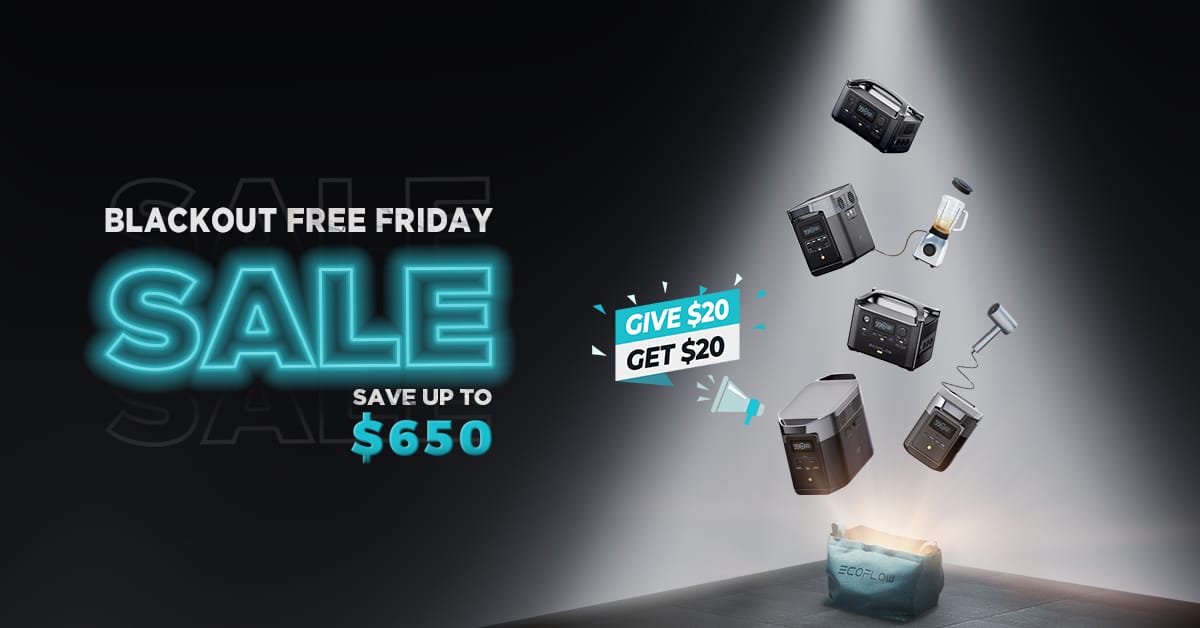 Black Friday Sale
