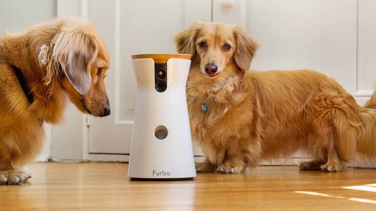 Furbo Dog Camera Review – Treat Tossing, HD Wifi Cam, with 2-Way Audio