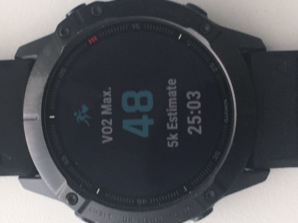 IMG 0968 1024x768 - Garmin Fenix 6 Series Leaked includes Pro model and 6x Pro Solar - Key features revealed