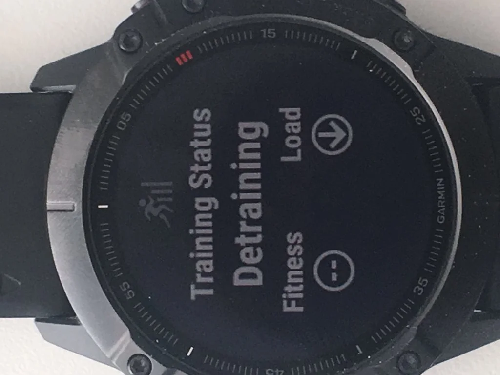 IMG 0969 1024x768 - Garmin Fenix 6 Series Leaked includes Pro model and 6x Pro Solar - Key features revealed