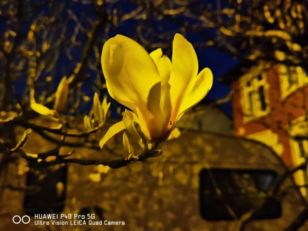Huawei P40 Pro Nightymode outside 1 - Huawei P40 Pro Review – Still the best camera in the business, but does it work without Google?