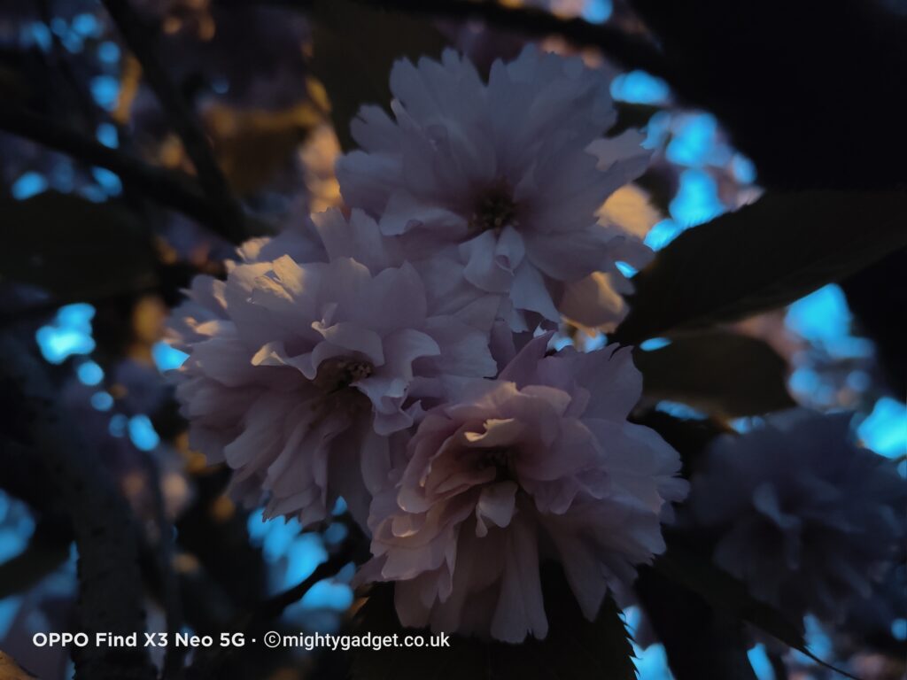 IMG20210428051151 - OPPO Find X3 Neo Camera Samples & Initial Review – An impressive alternative to a flagship device
