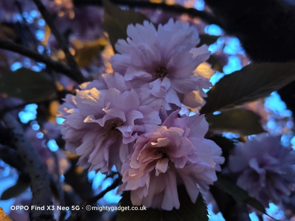 IMG20210428051158 - OPPO Find X3 Neo Camera Samples & Initial Review – An impressive alternative to a flagship device