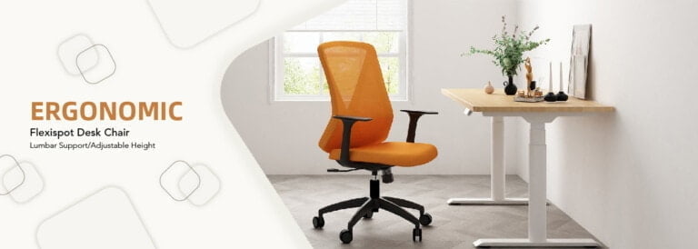 FlexiSpot Flexi-Chair Oka Office Chair BS9 Review