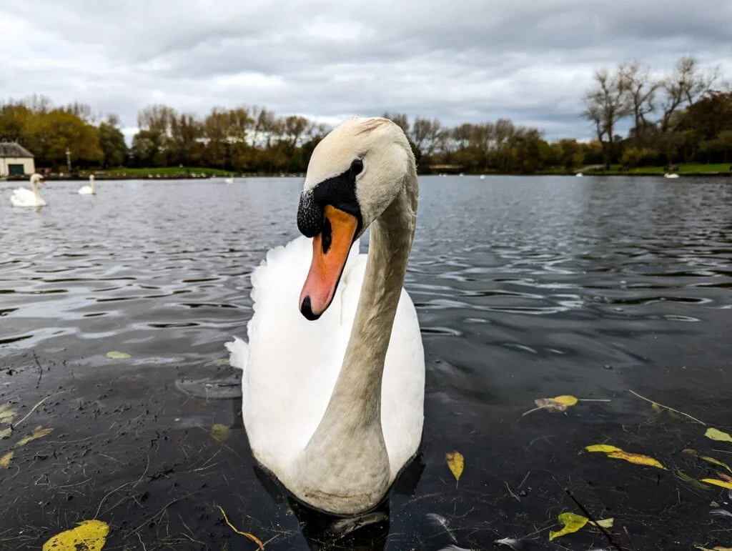 Pixel 6 Pro Review photo samples 143435974 - Pixel 6 Pro Review: Photo and Video Samples