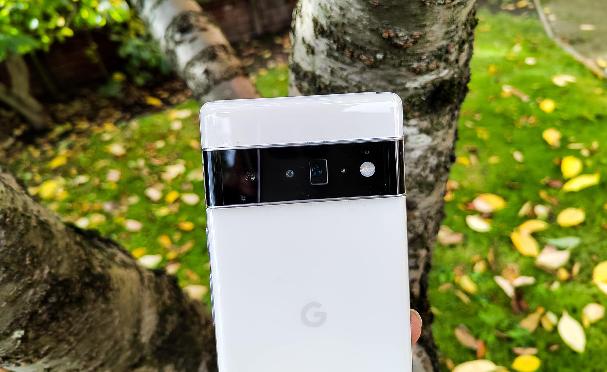 Pixel 6 Pro Review: Photo and Video Samples