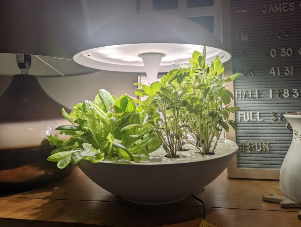 Akarina 01 grow lamp lettuce tomatoes - Akarina 01 Grow-Light system Review – Initial impressions of this easy to use Hydroponic kit