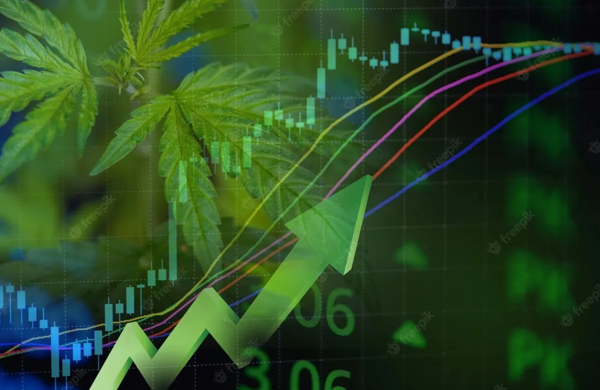 Cannabis Tech: Market Overview, Trends, and Opportunities