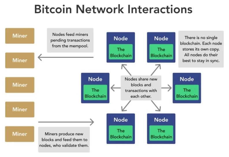 bitcoin nodes - What are Bitcoin Nodes and How to Use Them?