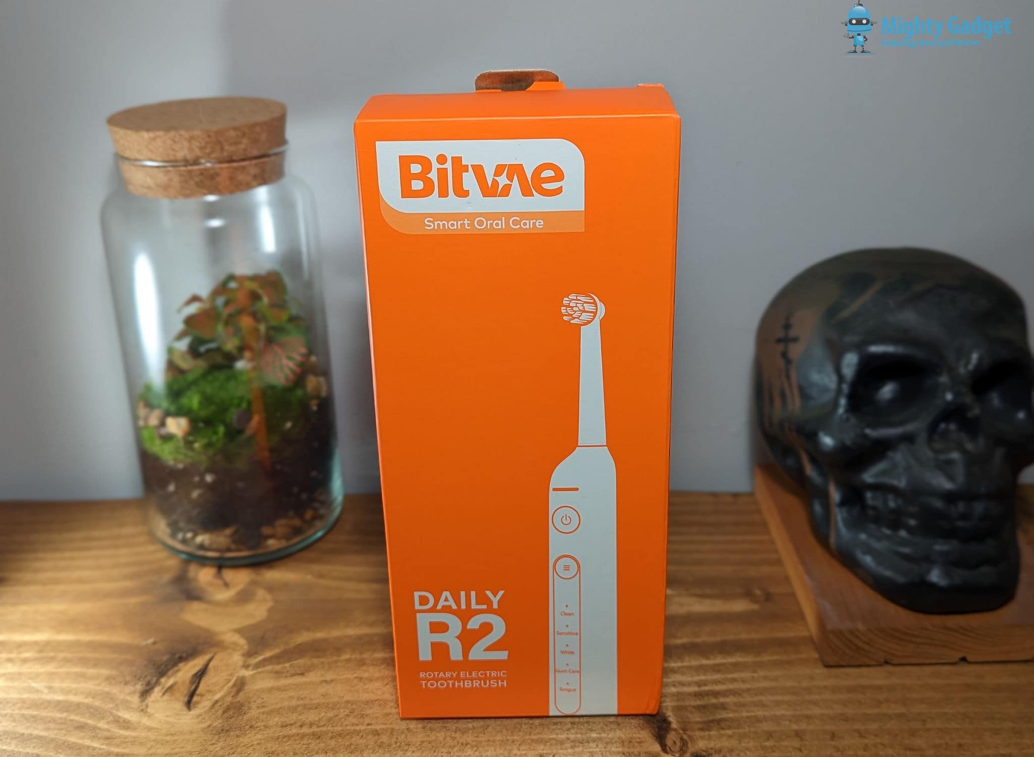 Oral-B Alternative: Bitvae R2 Electric Toothbrush Review