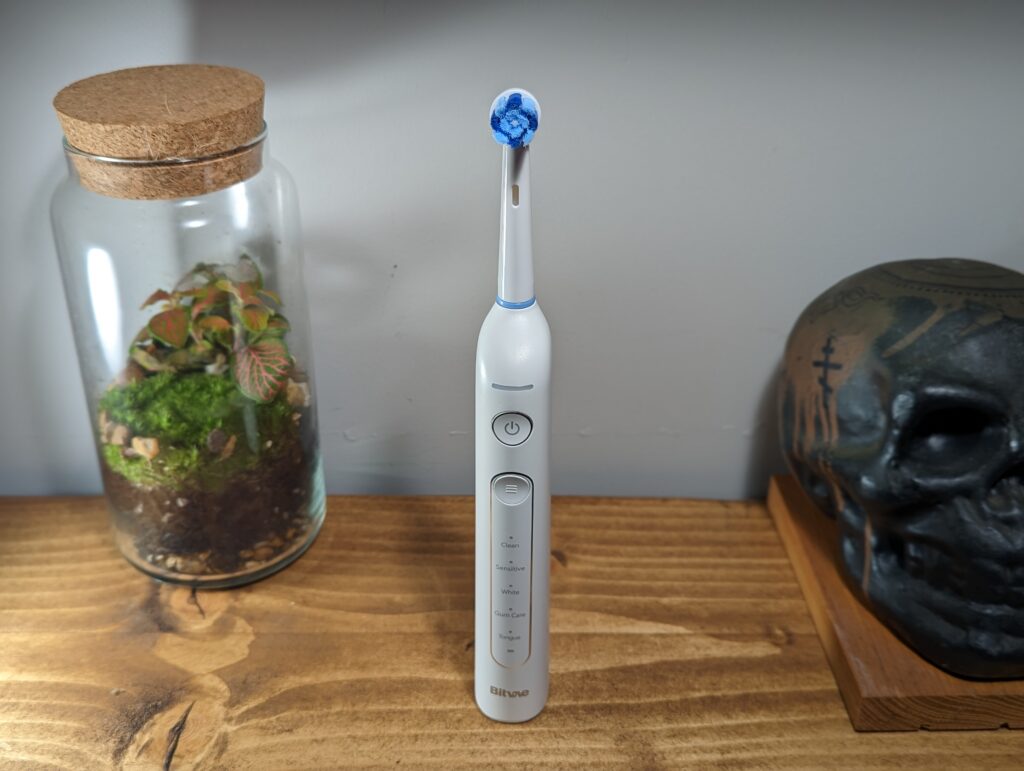 Bitvae R2 Rotating Electric Toothbrush Review2 - Oral-B Alternative: Bitvae R2 Electric Toothbrush Review