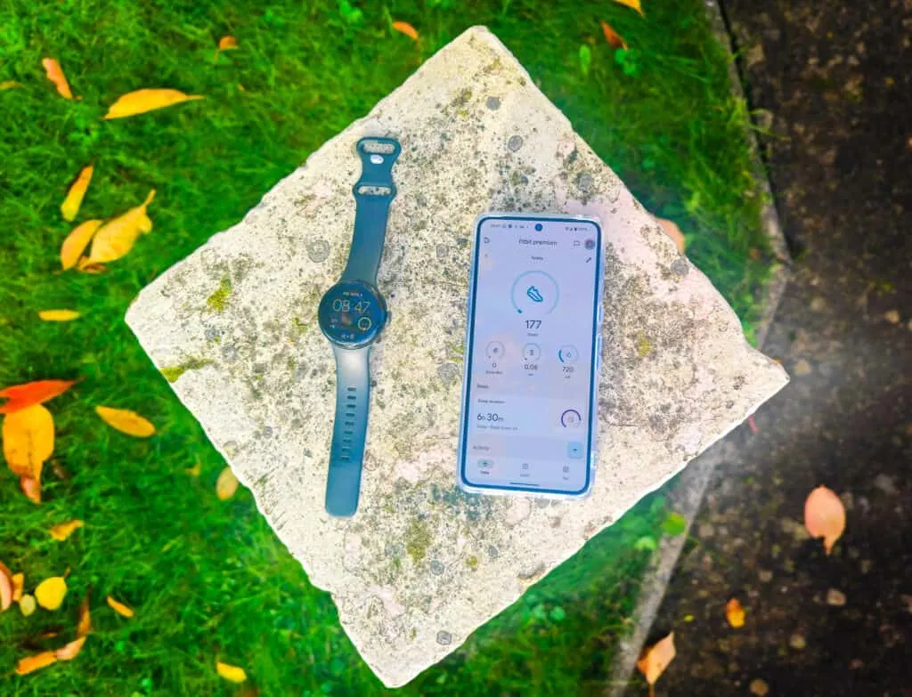 Pixel Watch 2 Review Watch and App on Phone 2 - Pixel Watch 2 Review