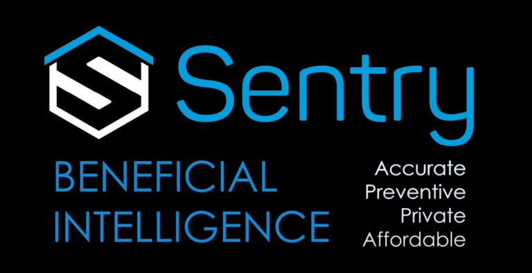 BlueIris with Sentry AI Human Detection Review – How accurate is the AI for recognising people?