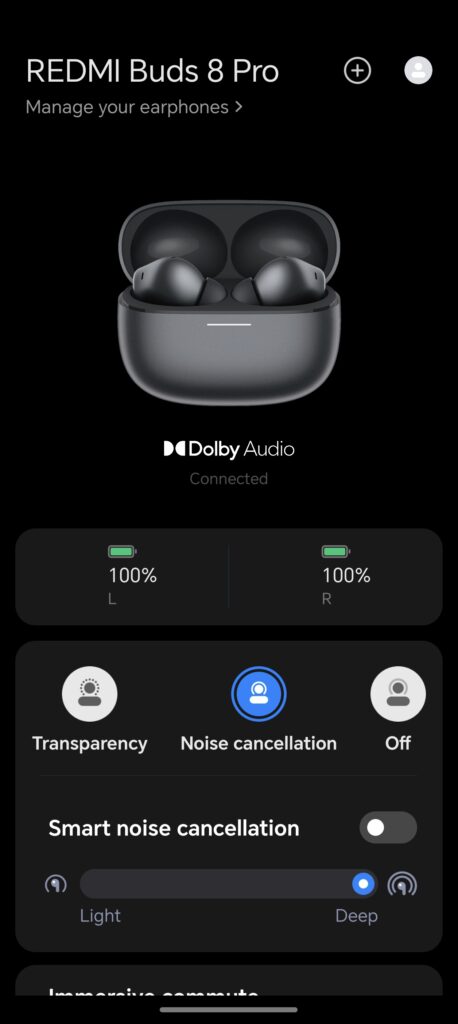 Redmi Buds 8 Professional Evaluation 8