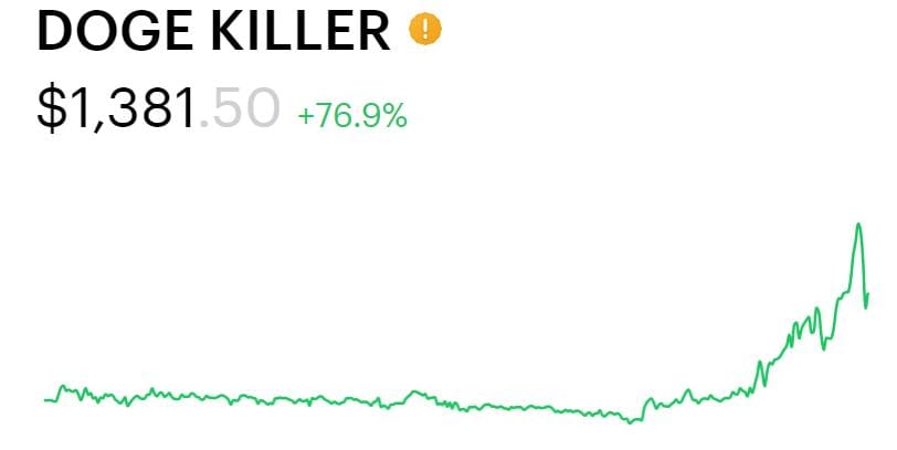 DOGE KILLER