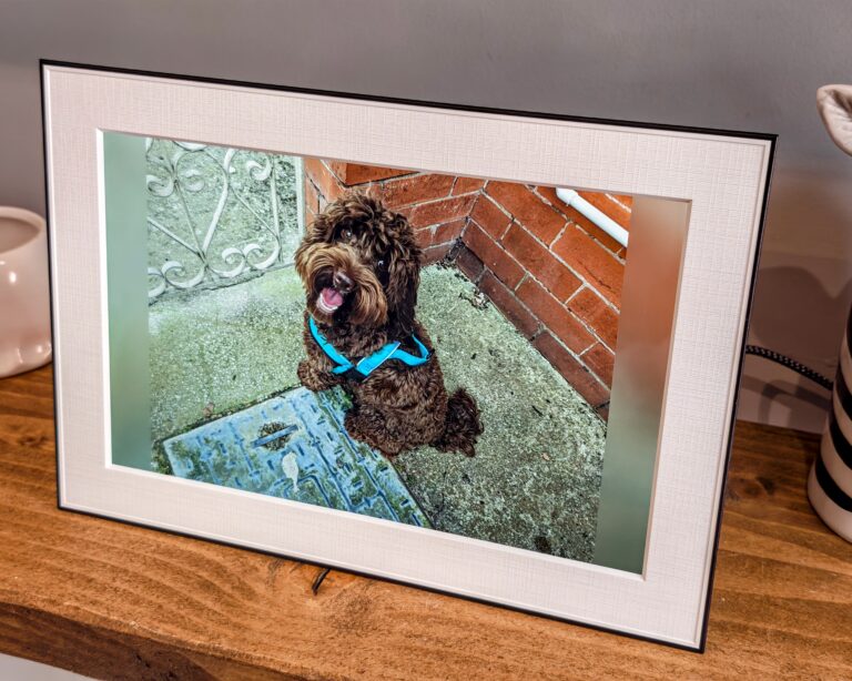 Homture Magic Frame Review – Digital photo frame with AI-generated videos