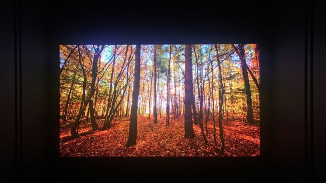 LG MicroLED