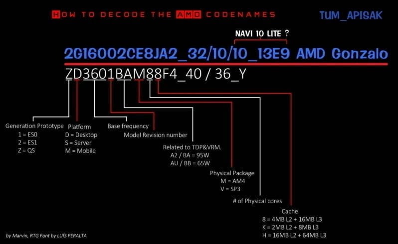 AMD Gonsalo
