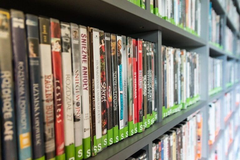 6 Practical Reasons Why You Should Digitize Your DVD Collection 11 6 Practical Reasons Why You Should Digitize Your DVD Collection