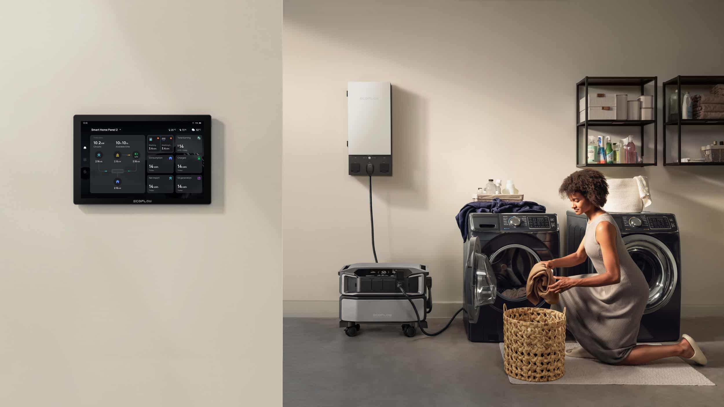 EcoFlow DELTA Pro Washing Room DPUSHP2PowerInsight