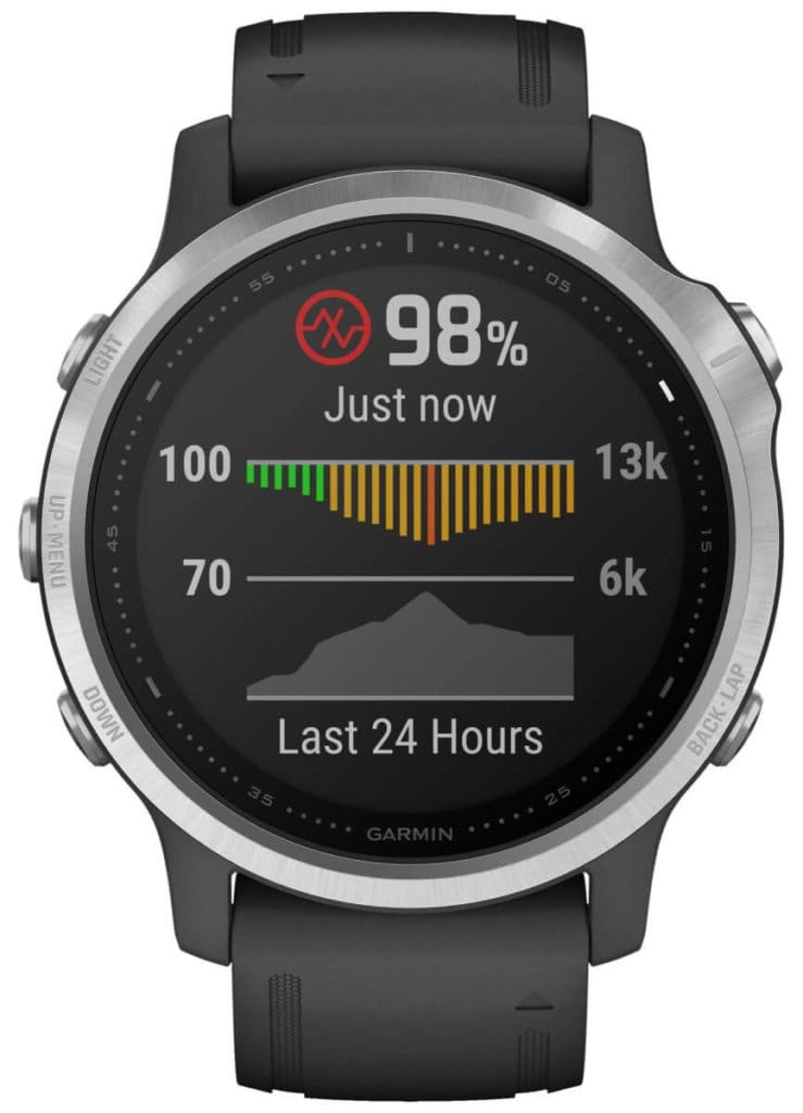 Garmin Fenix 6S 1566042232 0 0 739x1024 1