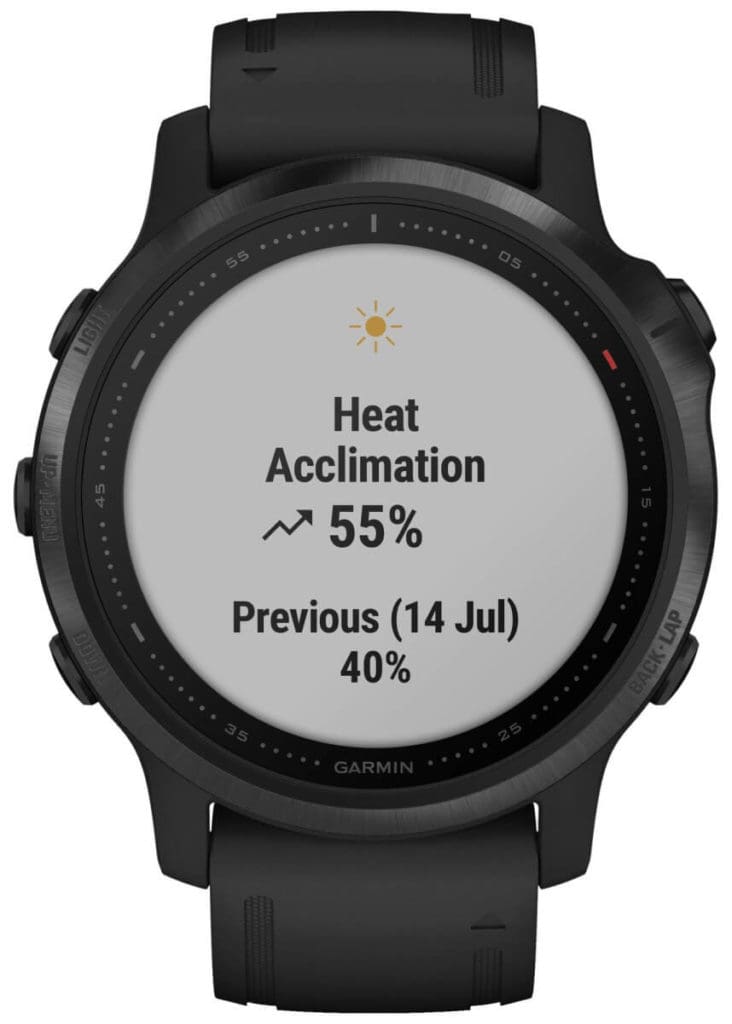 Garmin Fenix 6S 1566042385 0 0 732x1024 1