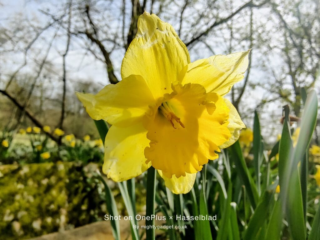 OnePlus 9 Pro Photo and Video Samples – Can the OnePlus compete with Samsung and OPPO? 25 IMG 20210331 145322 1024x768 1