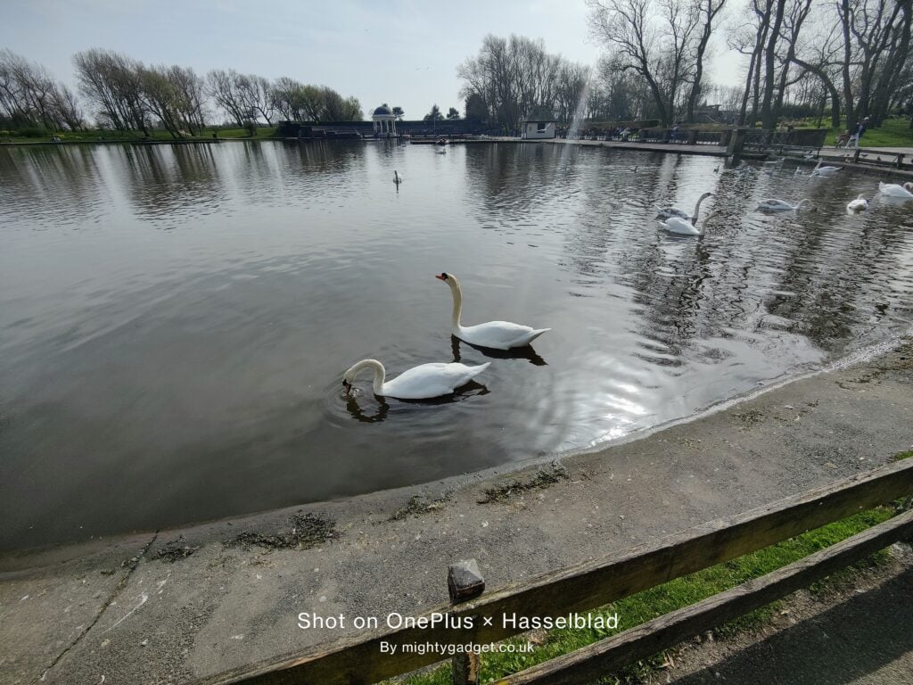 OnePlus 9 Pro Photo and Video Samples – Can the OnePlus compete with Samsung and OPPO? 26 IMG 20210331 150113 1024x768 1