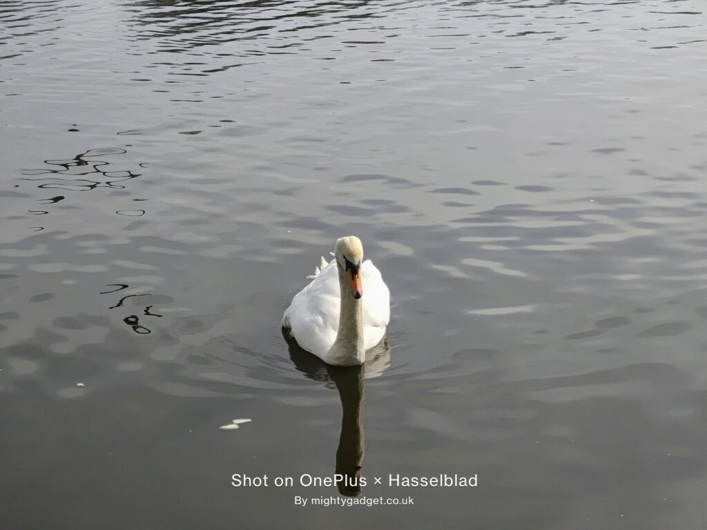 OnePlus 9 Pro Photo and Video Samples – Can the OnePlus compete with Samsung and OPPO? 16 IMG 20210331 150147 1024x768 1