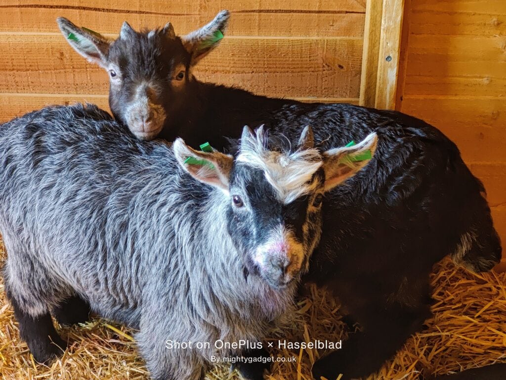 OnePlus 9 Pro Photo and Video Samples – Can the OnePlus compete with Samsung and OPPO? 20 IMG 20210402 111455 1024x768 1