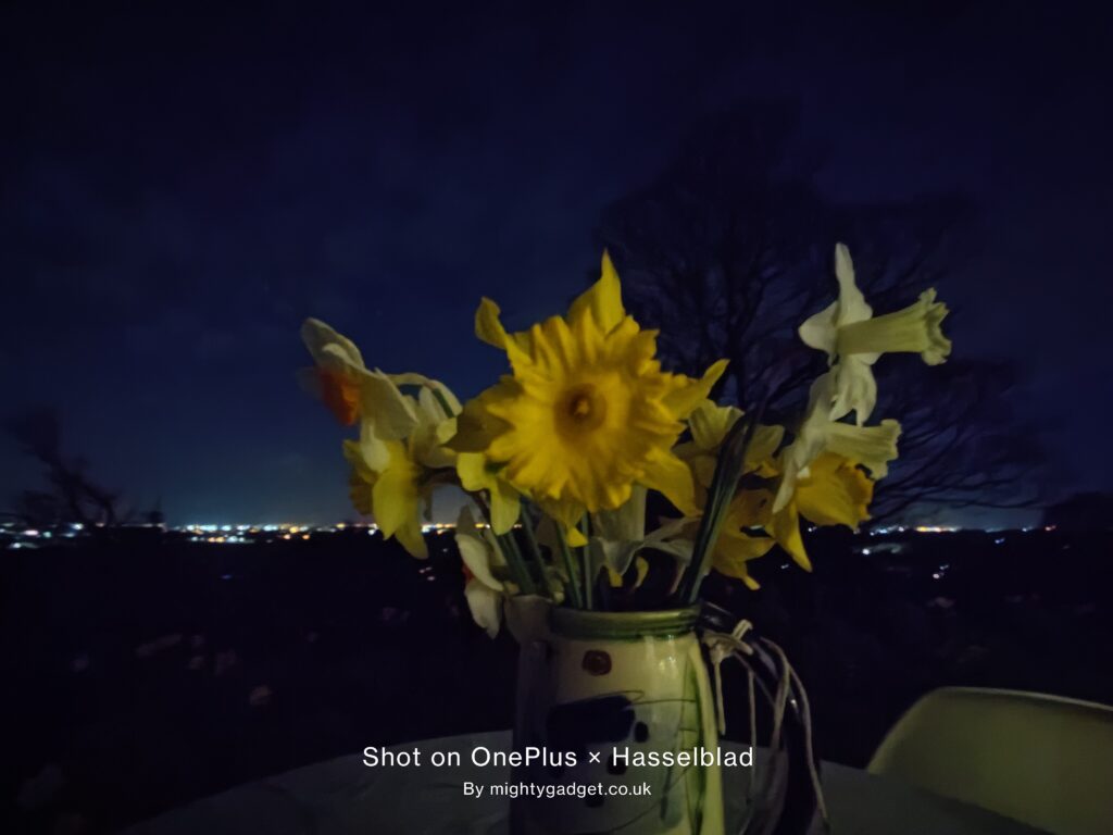 OnePlus 9 Pro Photo and Video Samples – Can the OnePlus compete with Samsung and OPPO? 23 IMG 20210403 050225 1024x768 1