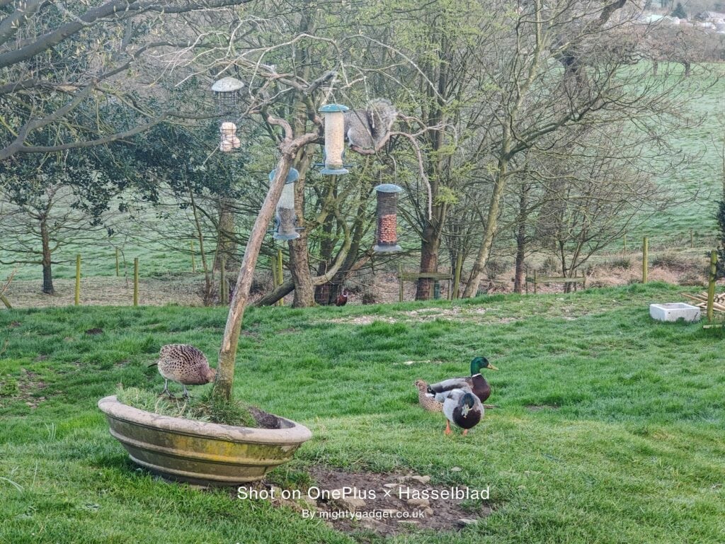 OnePlus 9 Pro Photo and Video Samples – Can the OnePlus compete with Samsung and OPPO? 24 IMG 20210403 072605 1024x768 1