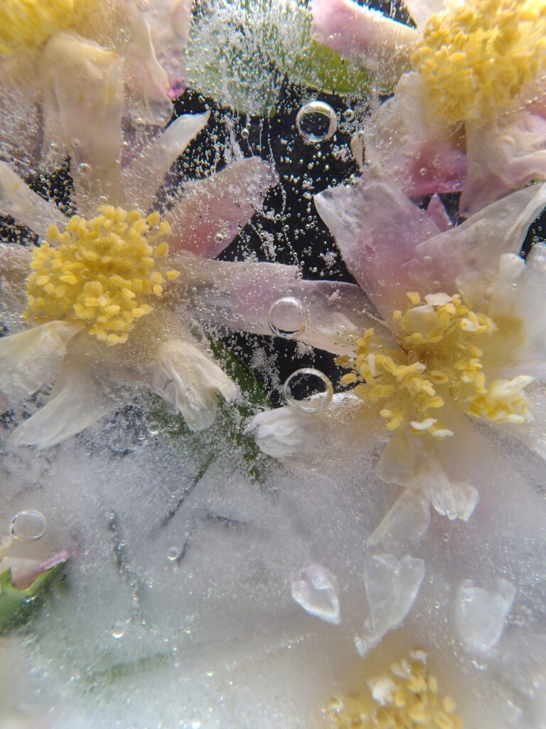 Oppo Underwater Camera samples 1 768x1024 1